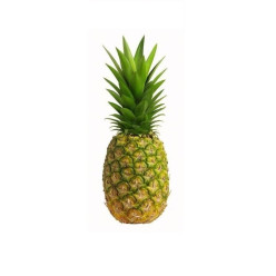 Vietnam Fresh Pineapple